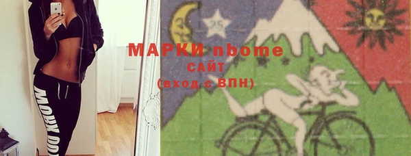 PSILOCYBIN Вяземский