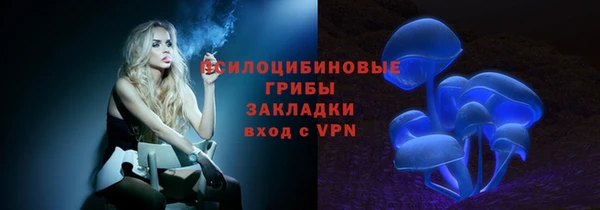 PSILOCYBIN Вяземский