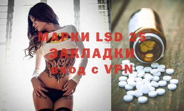 PSILOCYBIN Вяземский