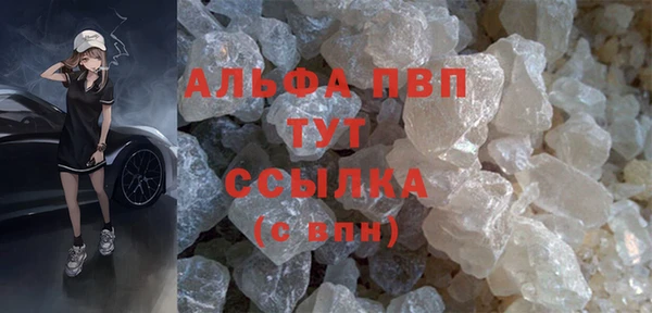 PSILOCYBIN Вяземский