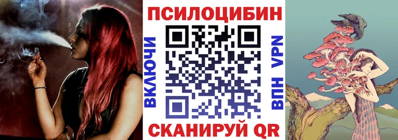 закладки  Вуктыл  Галлюциногенные грибы мицелий 